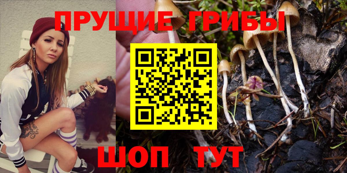 Псилоцибиновые грибы MAGIC MUSHROOMS  Вход с VPN  Рыбинск  Галлюциногенные грибы прущие грибы 